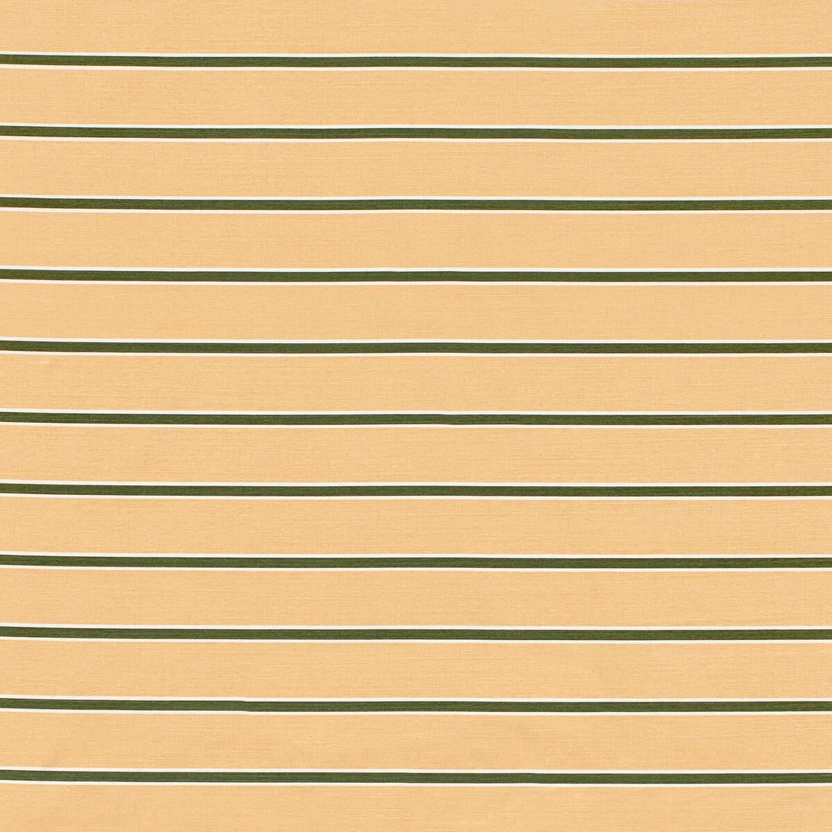 Horizon Stripe-Dkgreenblush