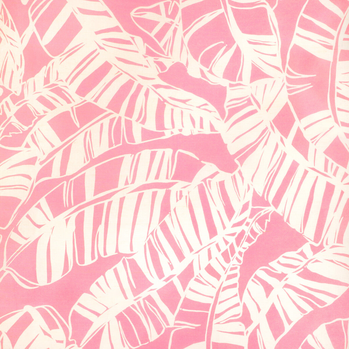 Just Bananas-Pink