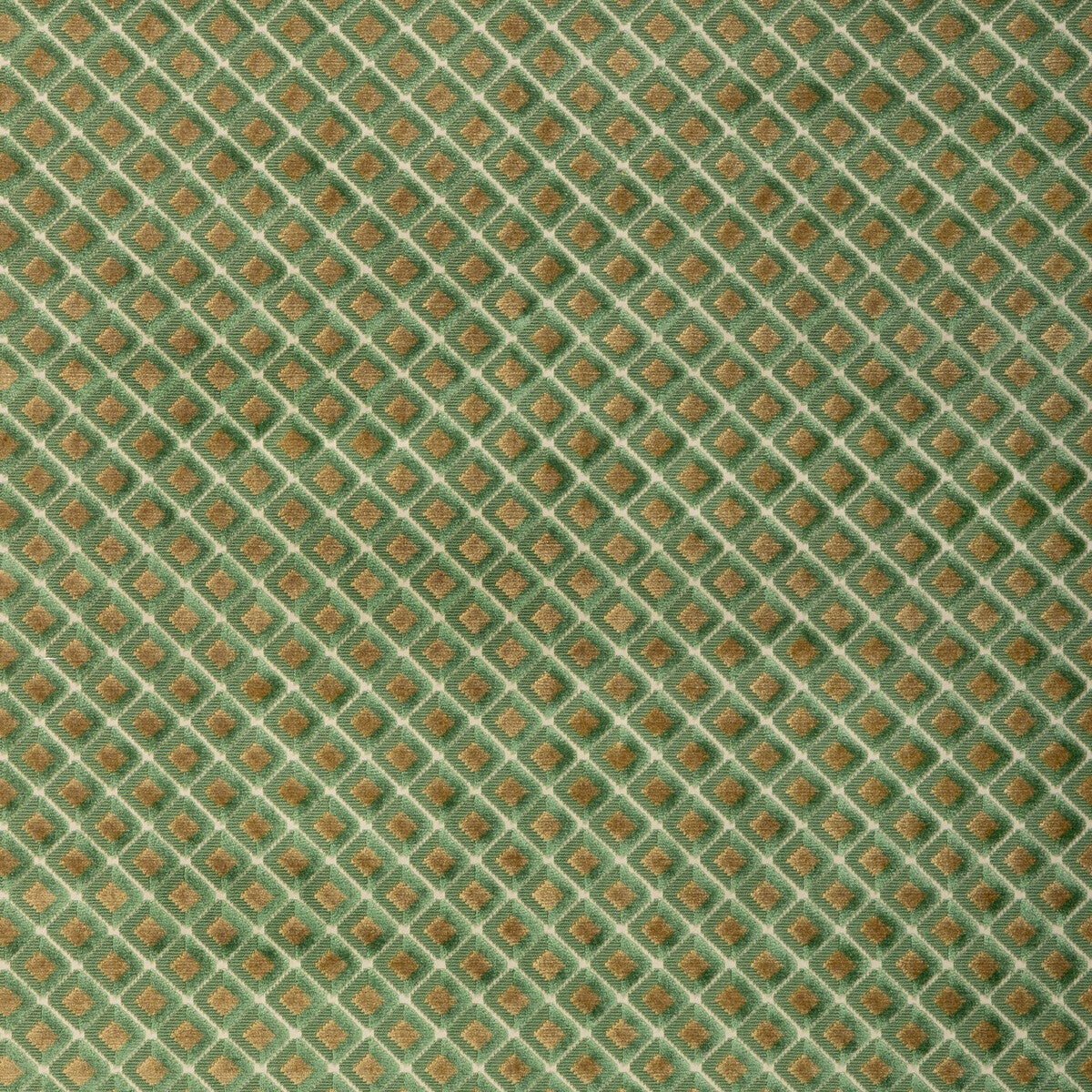 Greenwich Velvet-Leaf