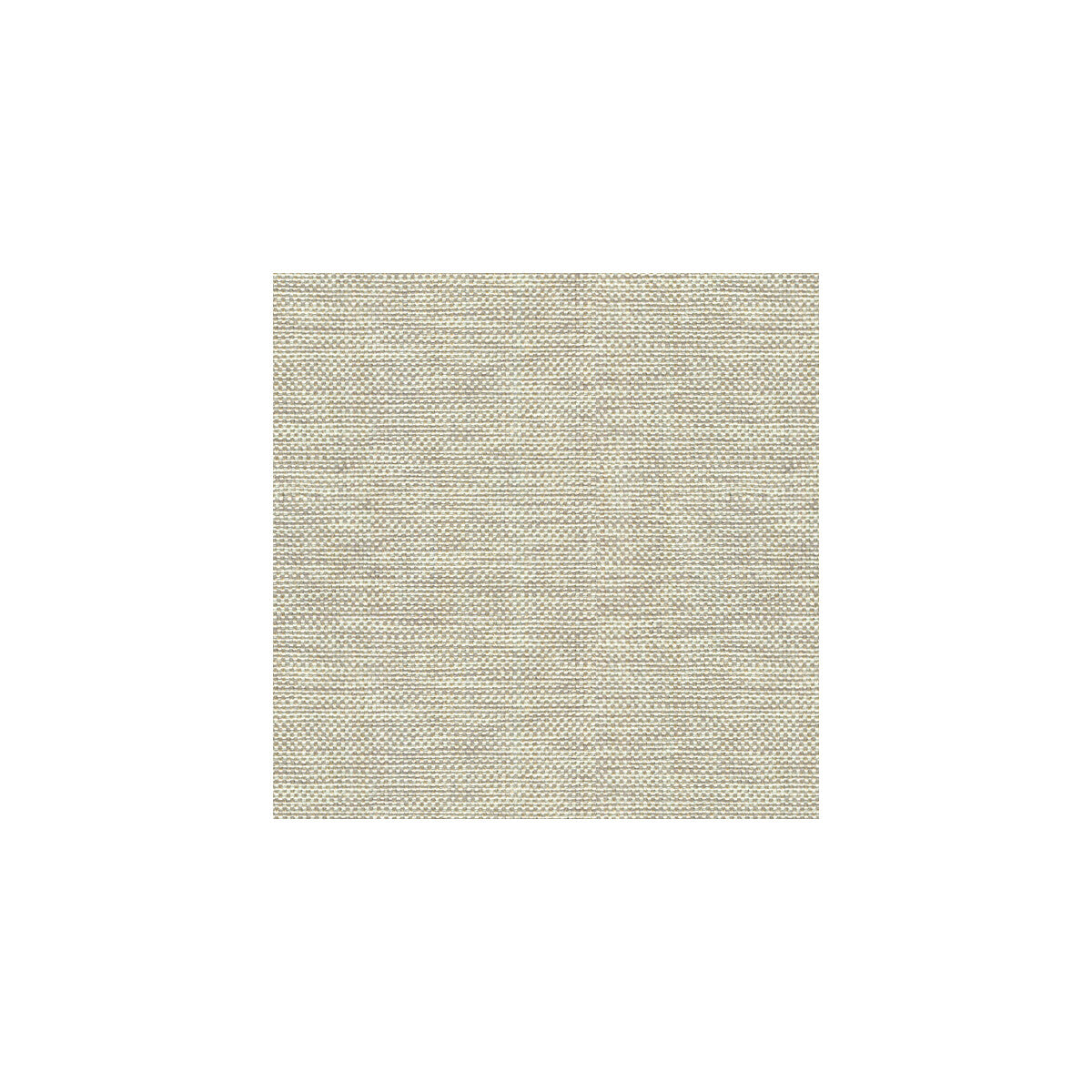 Kravet Basics-30299-106