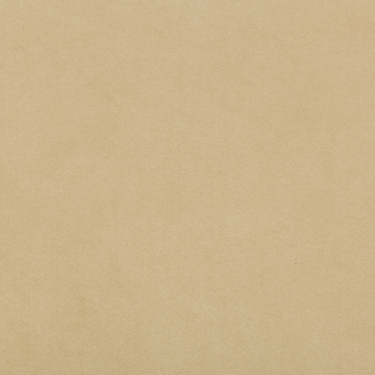 Ultrasuede Green-Muslin