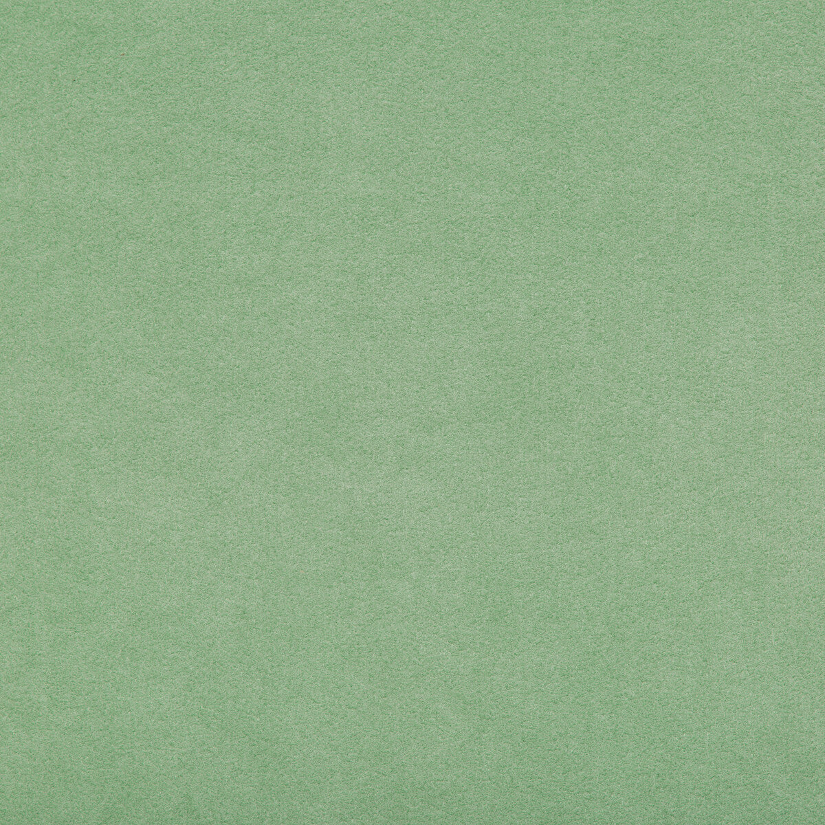 Ultrasuede Green-Sprig