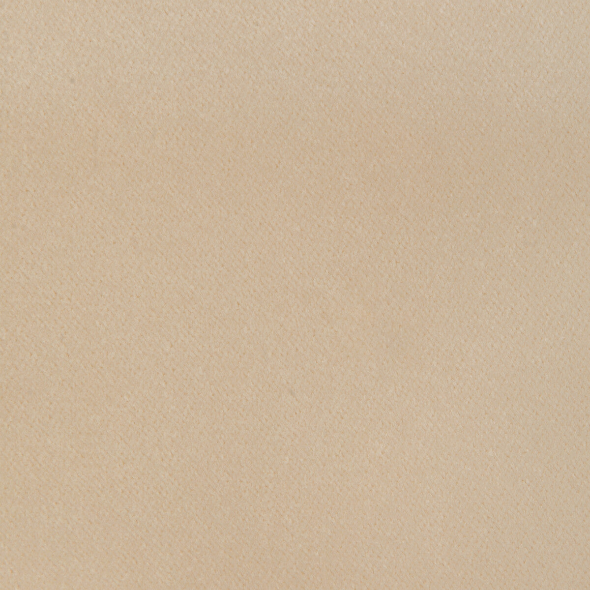 Kravet Smart-32565-1116