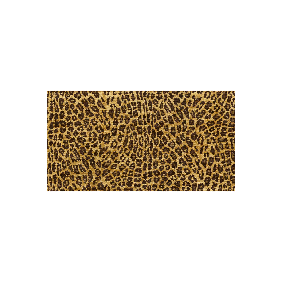 Savvy Safari-Leopard