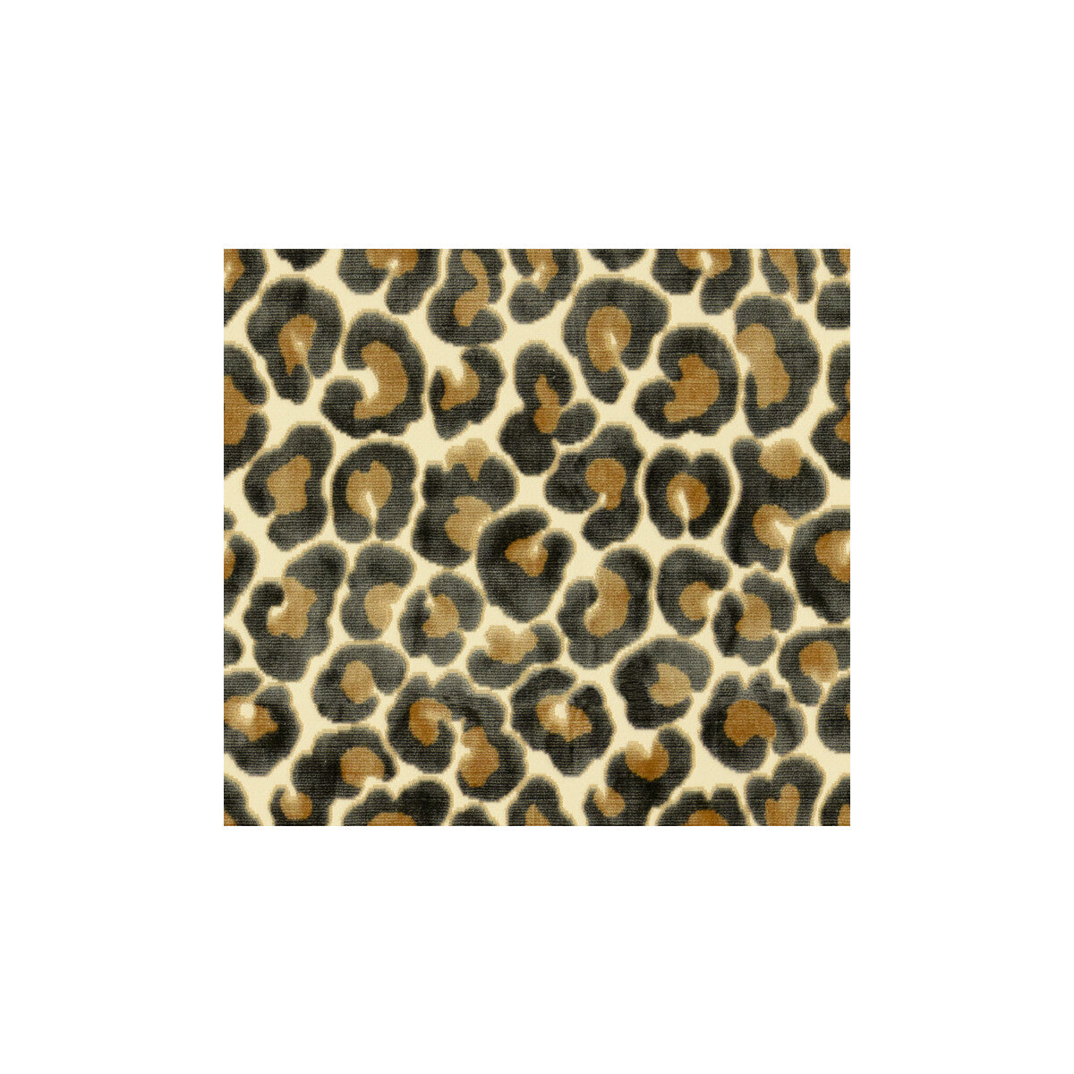 The Hunt Is On-Anthracite