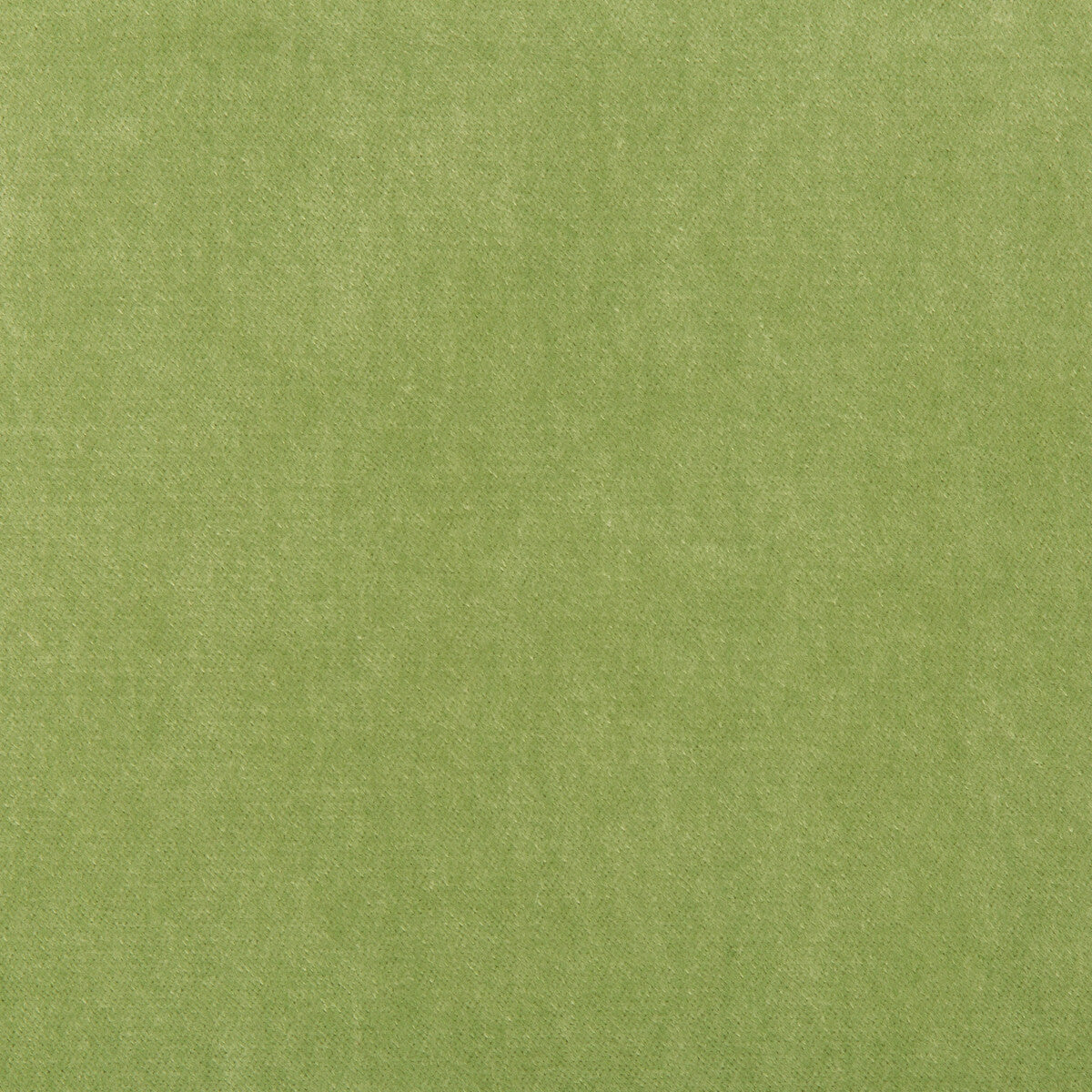 Kravet Basics-33299-303