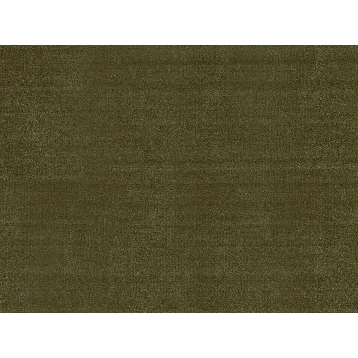 York Velvet-Olive