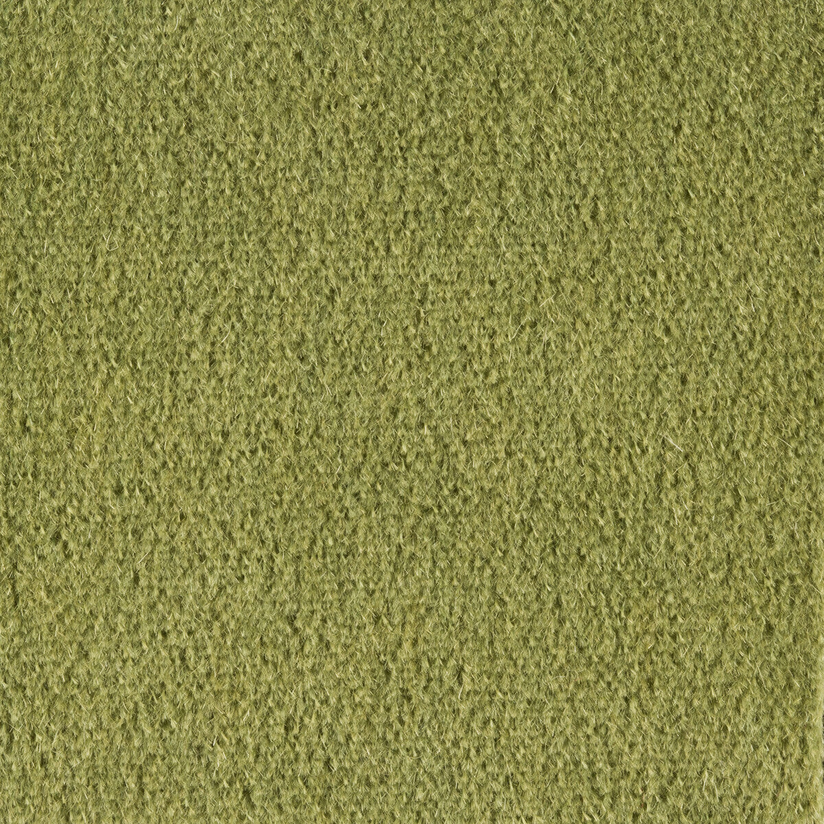 Plazzo Mohair-Elm
