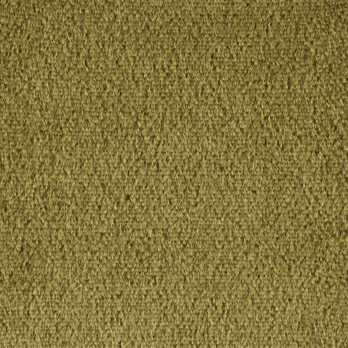 Plazzo Mohair-Moss