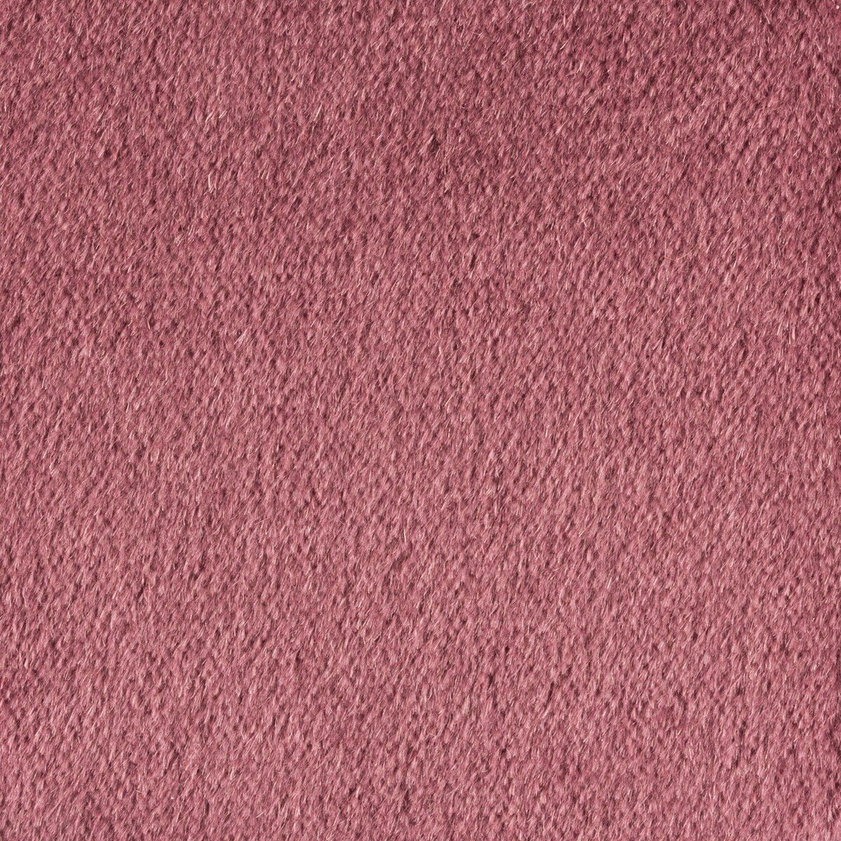 Plazzo Mohair-Tulipwood