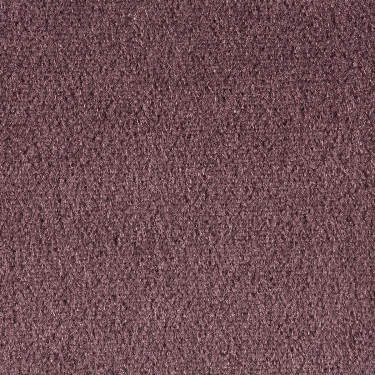 Plazzo Mohair-Quartz