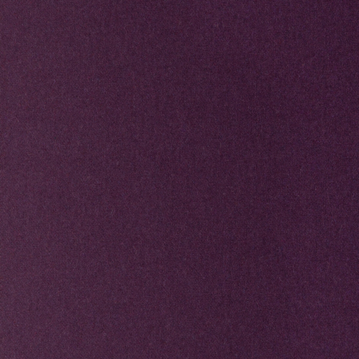 Jefferson Wool-Blackberry