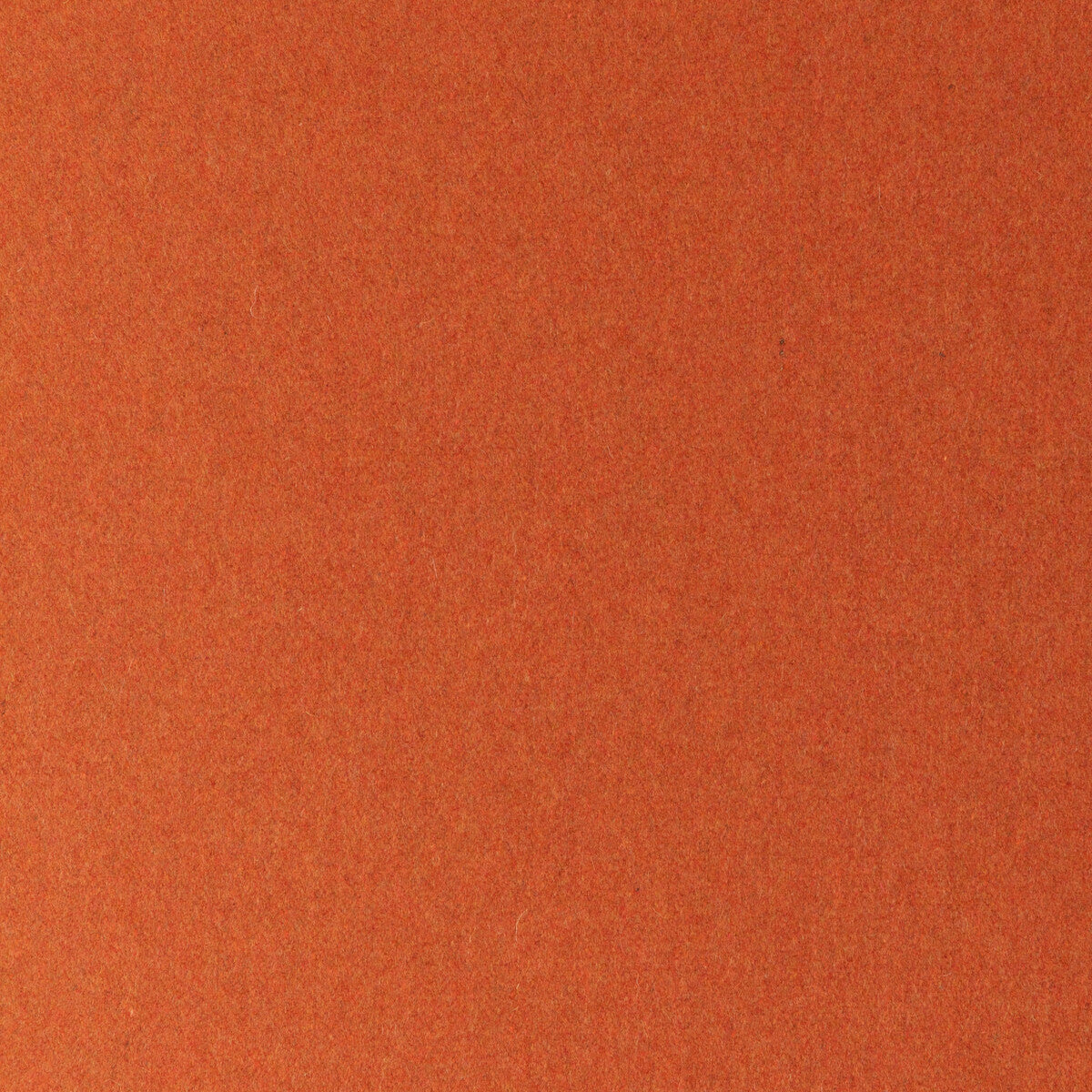 Jefferson Wool-Squash