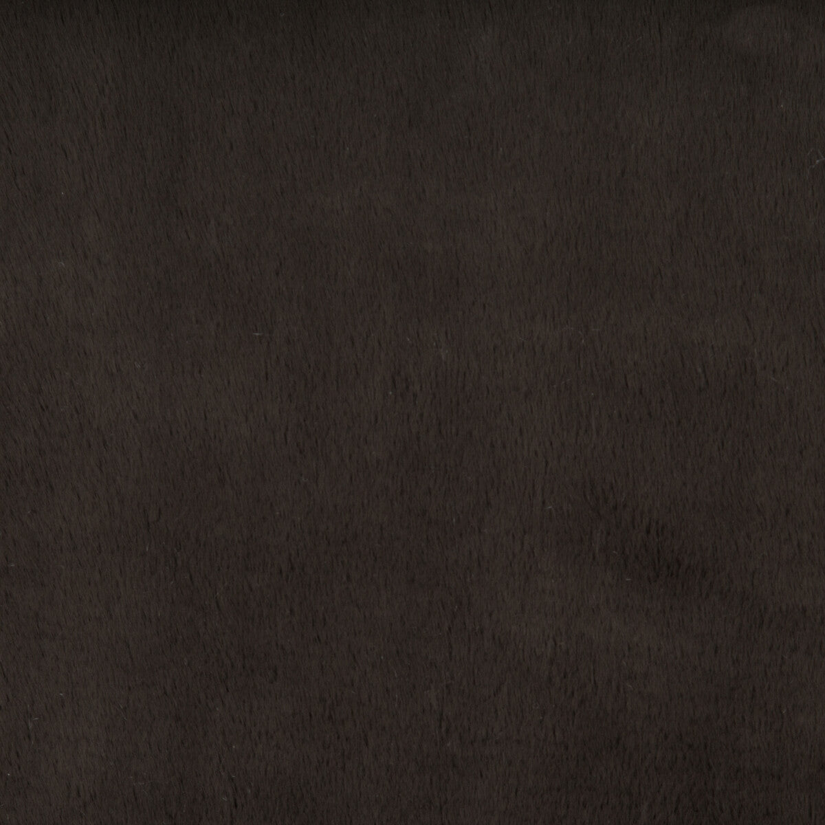 Kravet Basics-34642-6