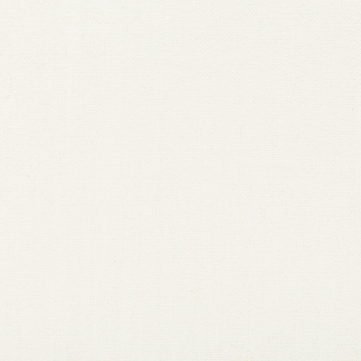 Kravet Basics-34894-101