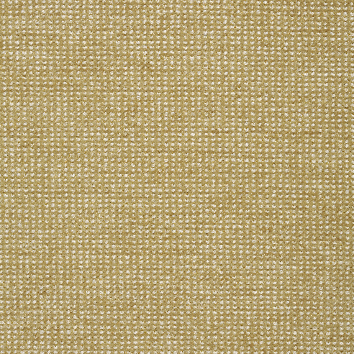 Kravet Contract-35116-14