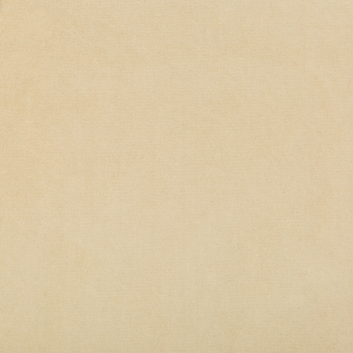 Kravet Design-35366-1116