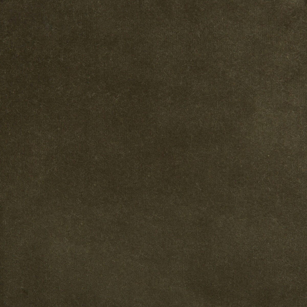 Kravet Design 35366-2111-