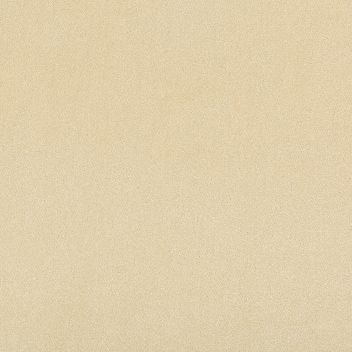 Madison Velvet-Papyrus