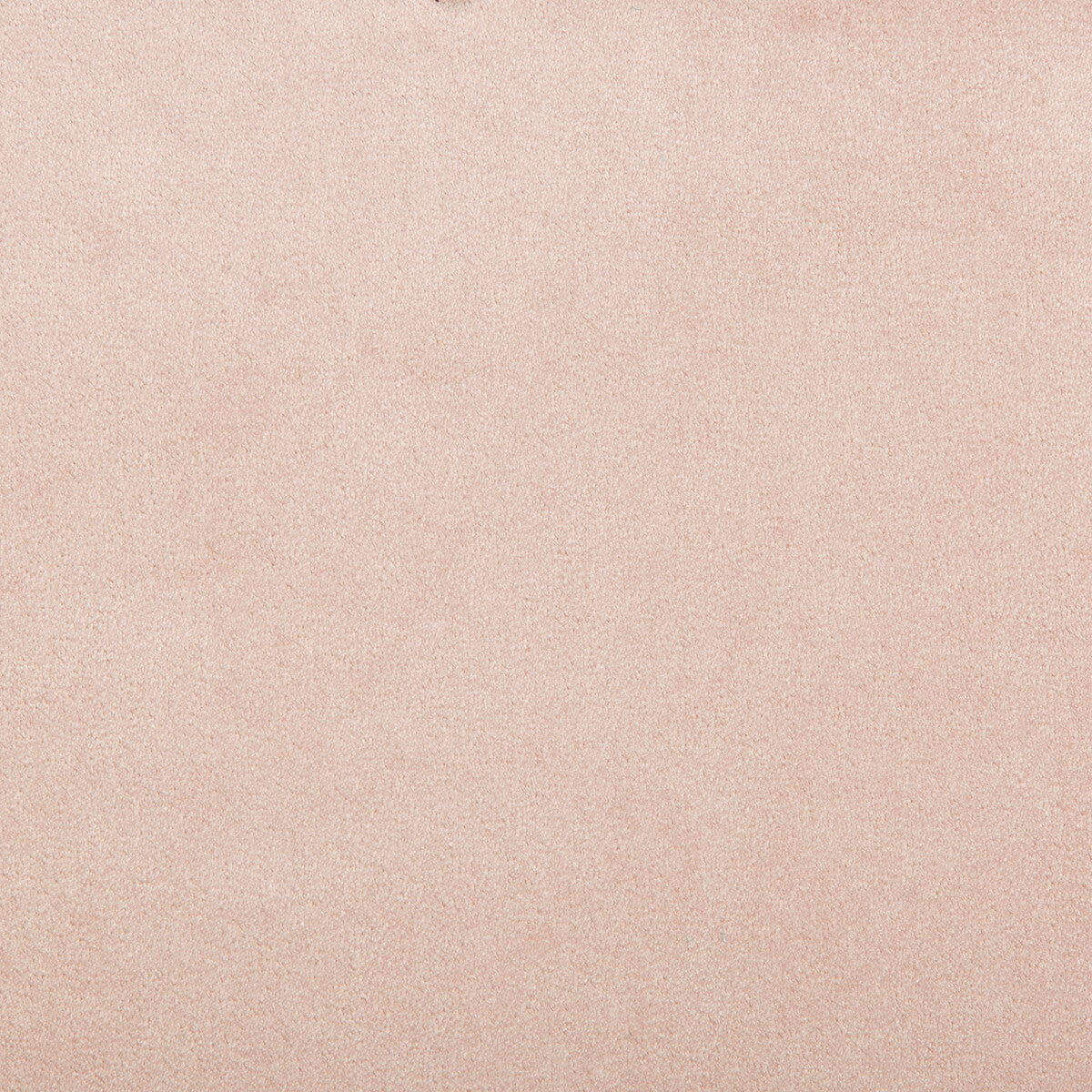 Madison Velvet-Flirt