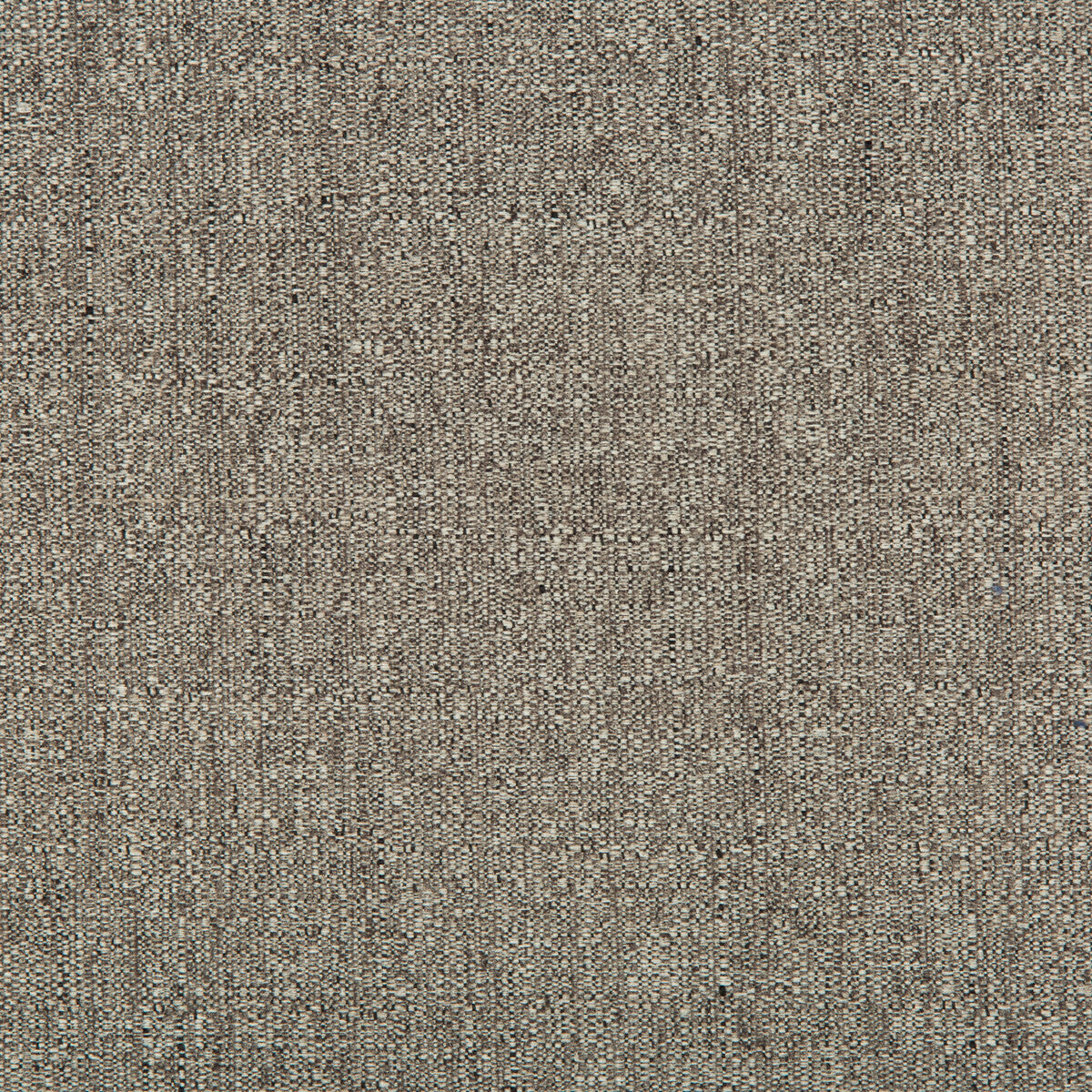 Kravet Contract-35479-21