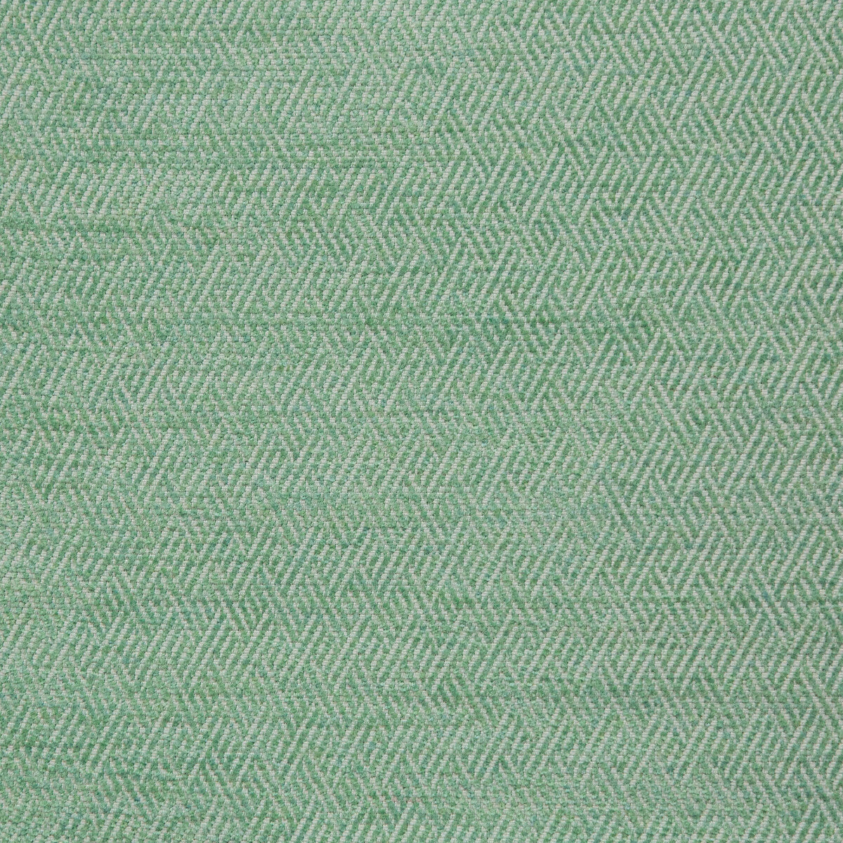 Basslet-Aloe