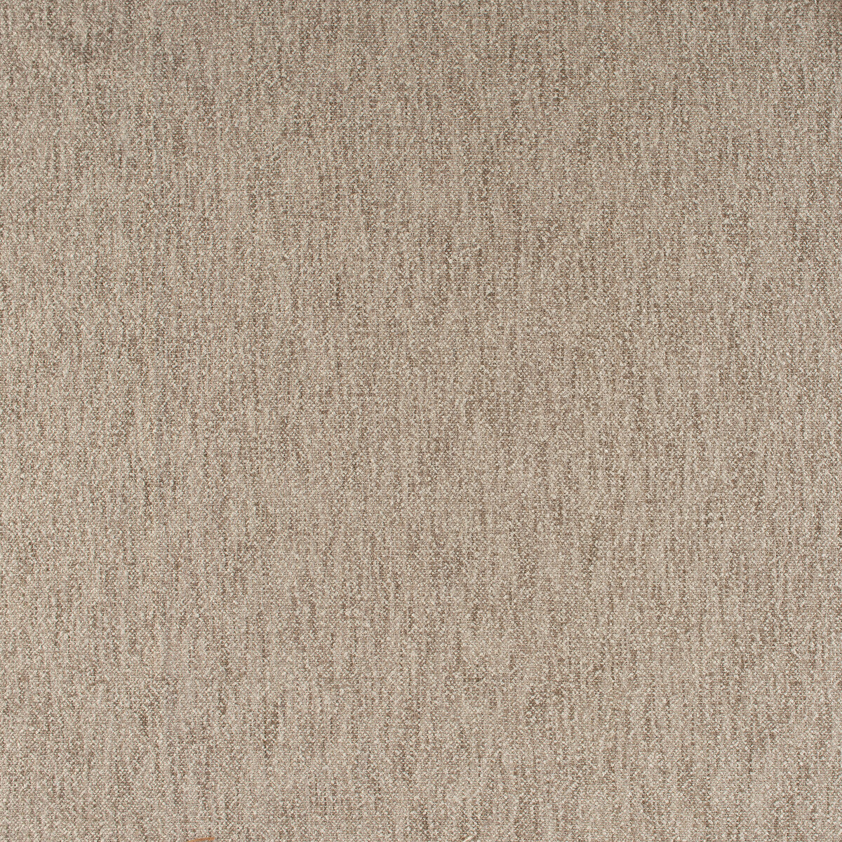 Palos Verde-Bark
