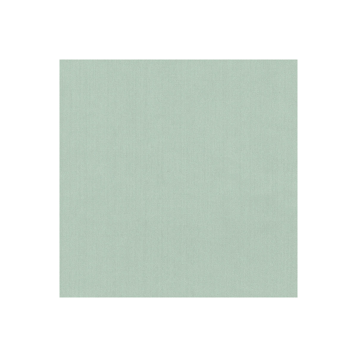 Kravet Basics-35916-113