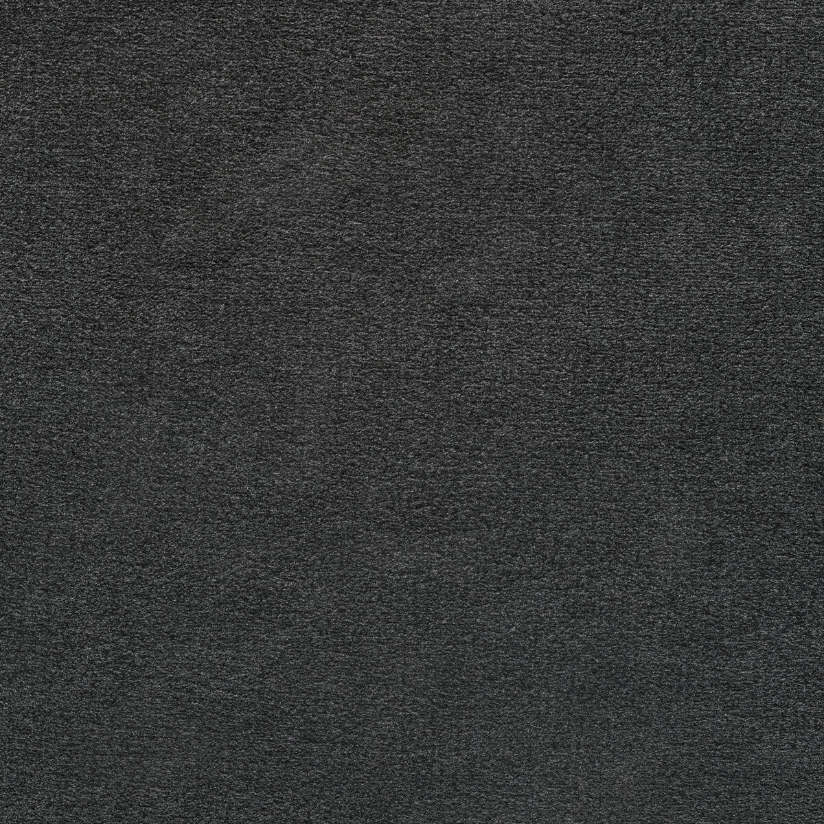 Plushilla-Charcoal