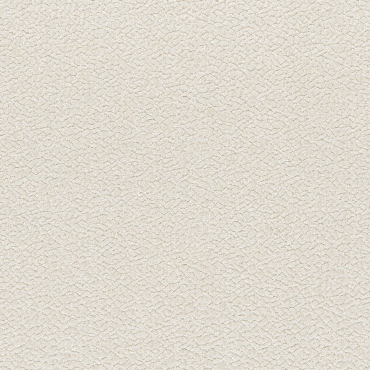 Barton Chenille-Oatmeal