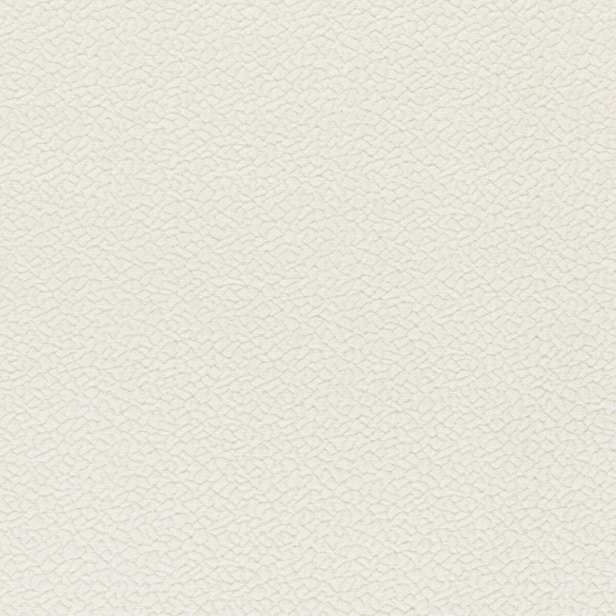 Barton Chenille-Salt