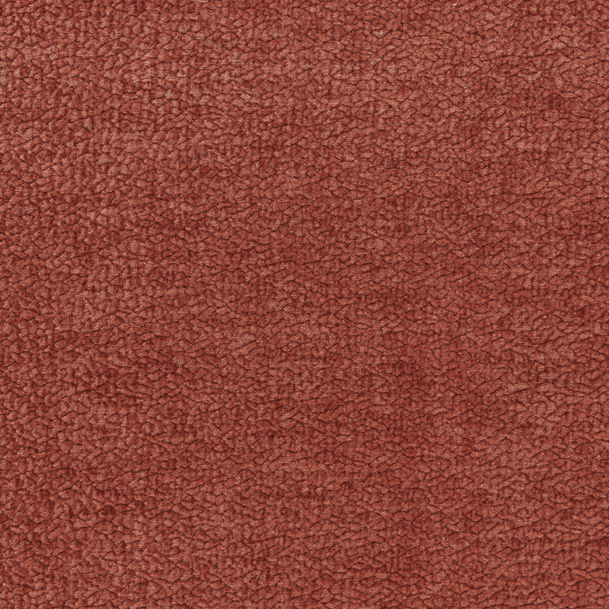 Barton Chenille-Clay