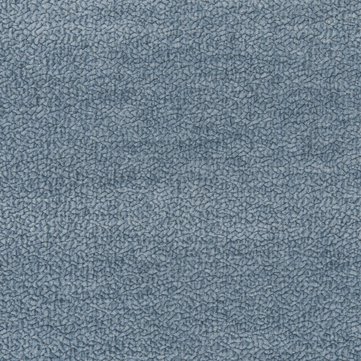 Barton Chenille-Cadet