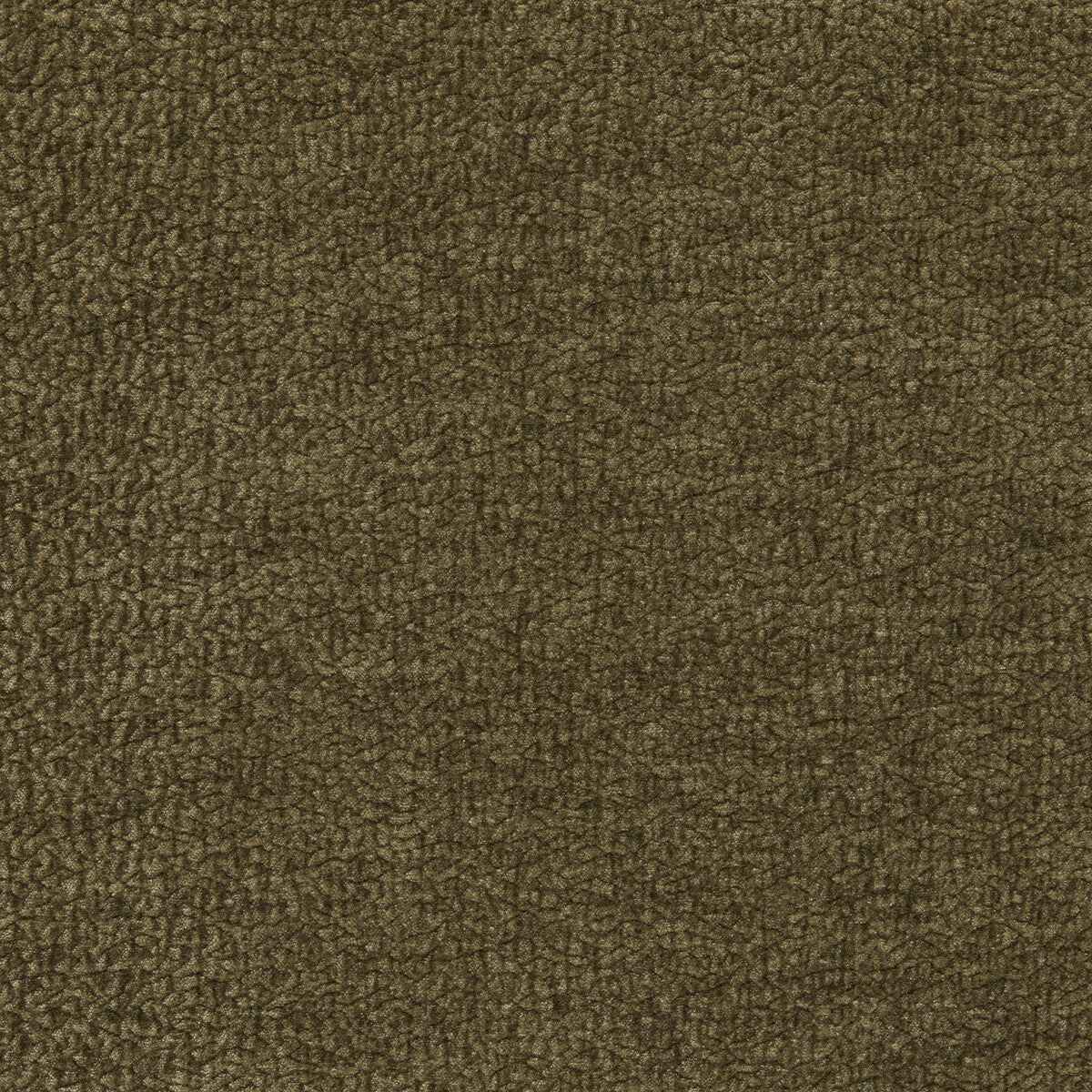 Barton Chenille-Pine