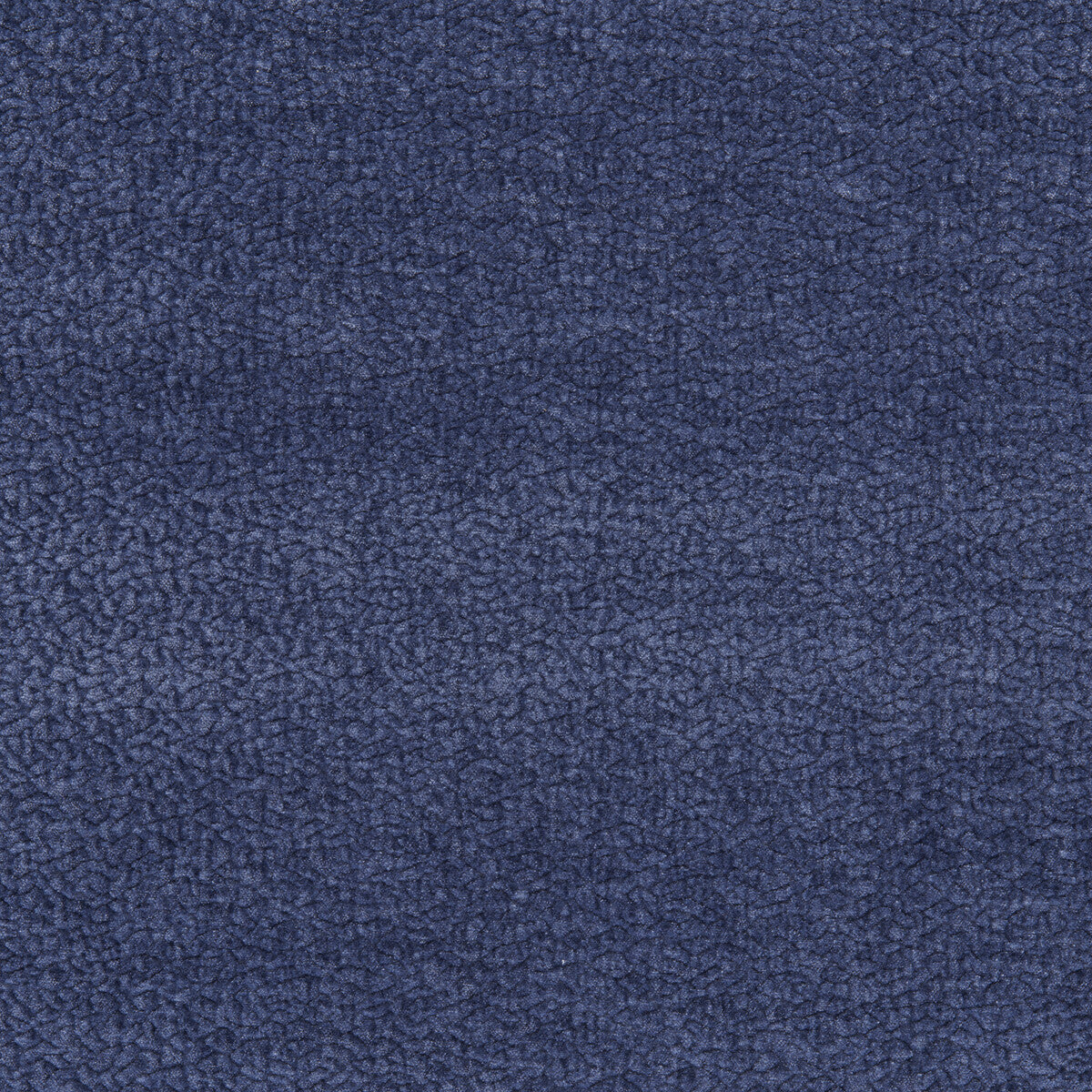 Barton Chenille-Royal