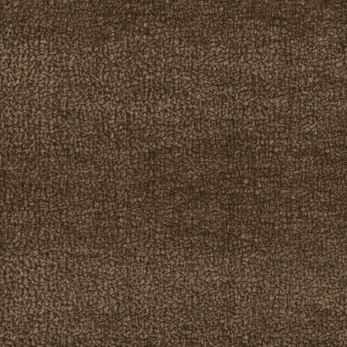 Barton Chenille-Mocha