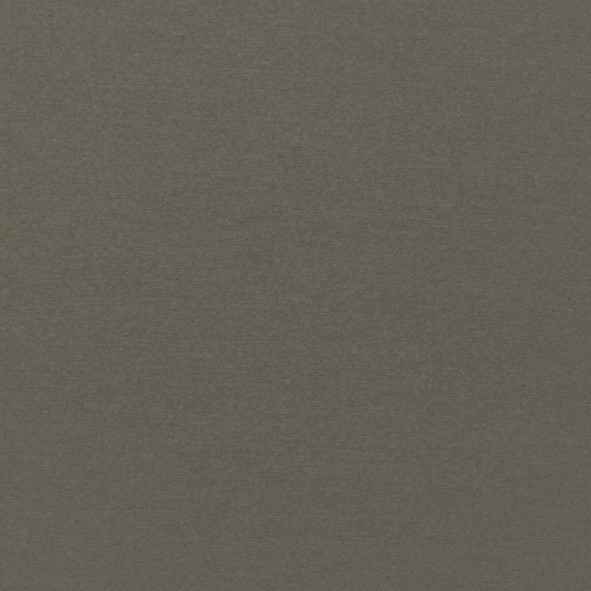 Kravet Smart-36110-1130