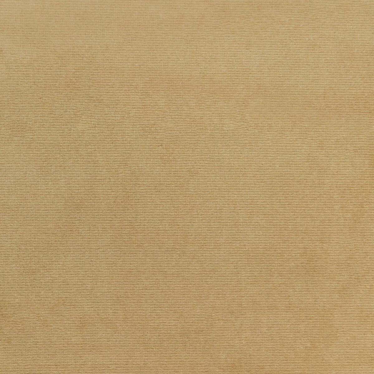 Kravet Smart-36111-106