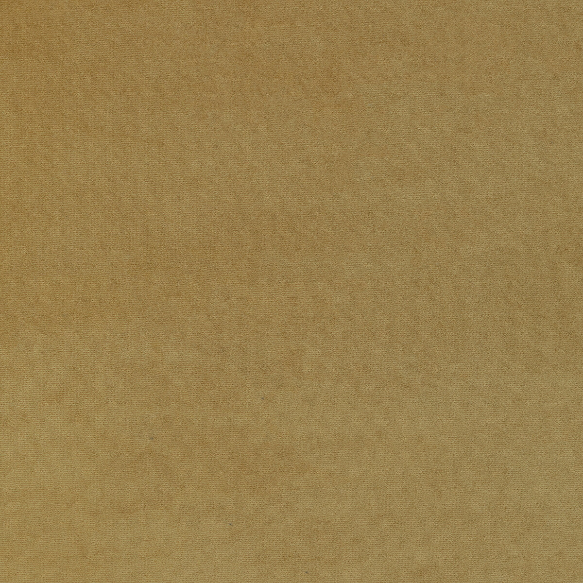 Kravet Smart-36111-416