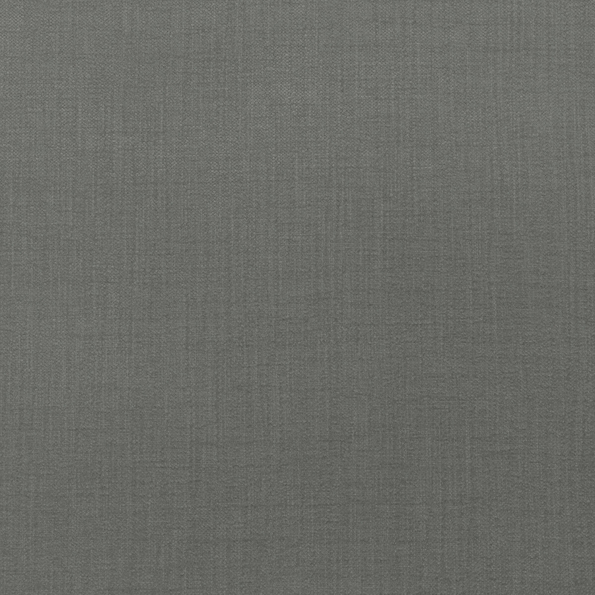 Accommodate-Moonlight