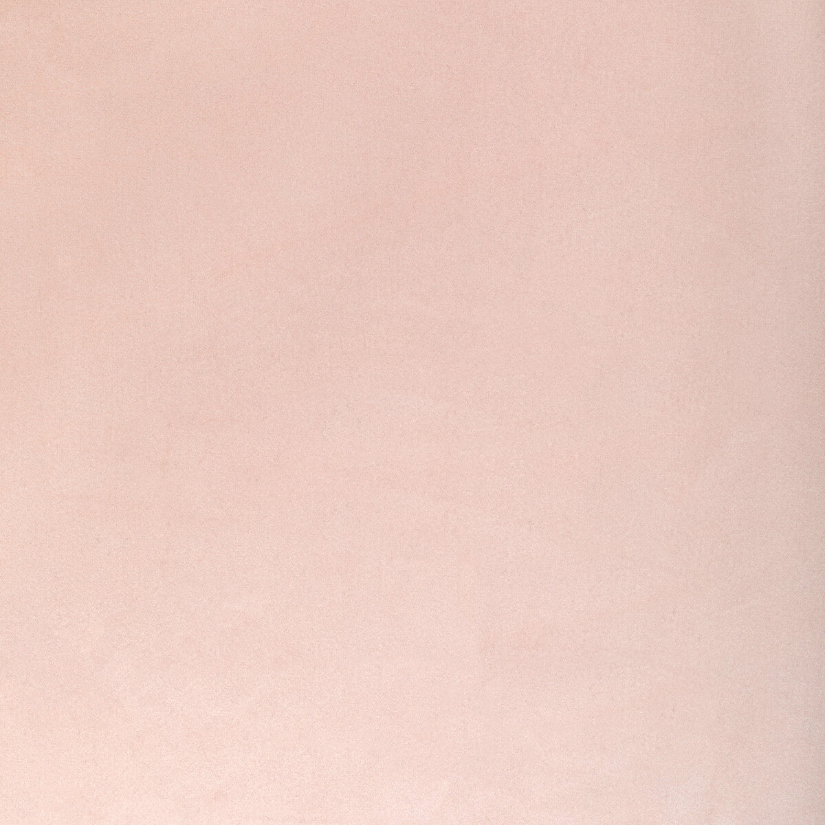 Rocco Velvet-Blossom