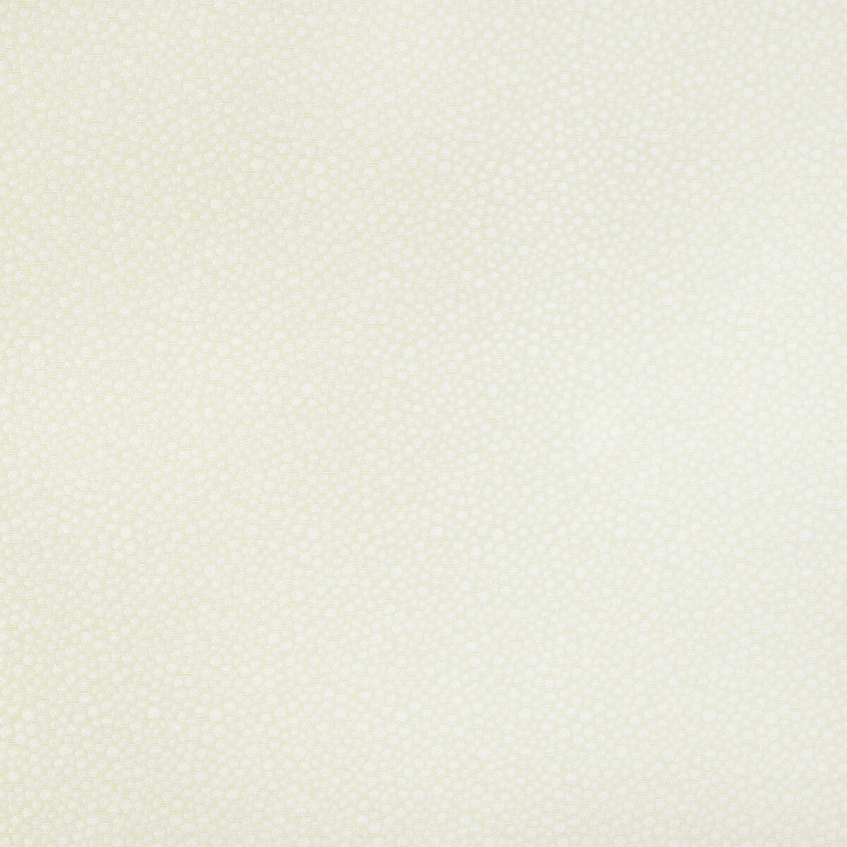 Tip The Scale-Eggshell