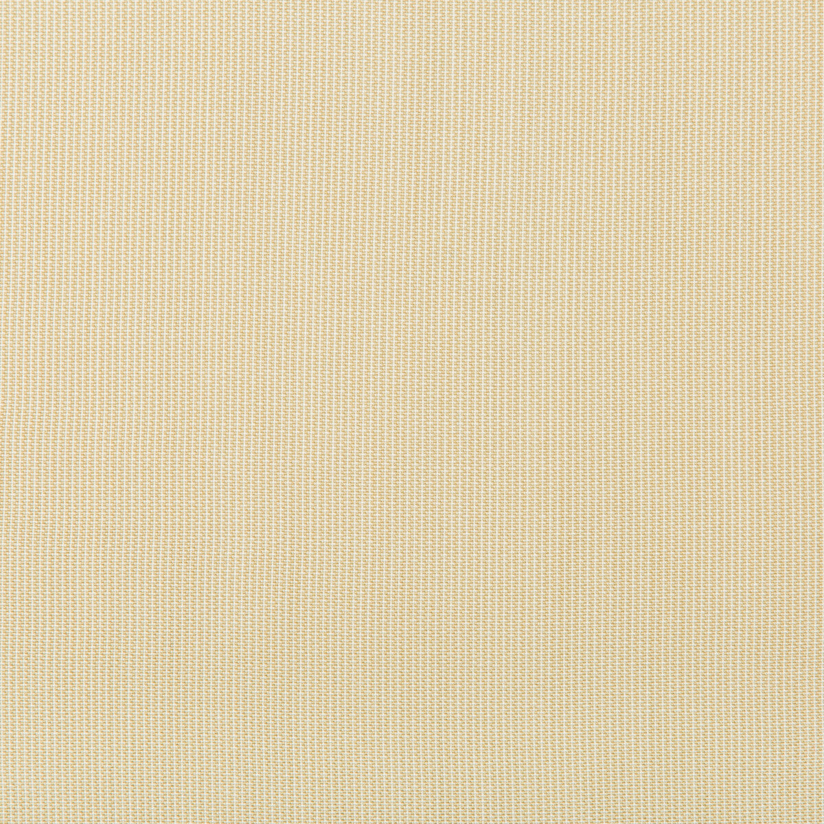 Kravet Basics-36820-16