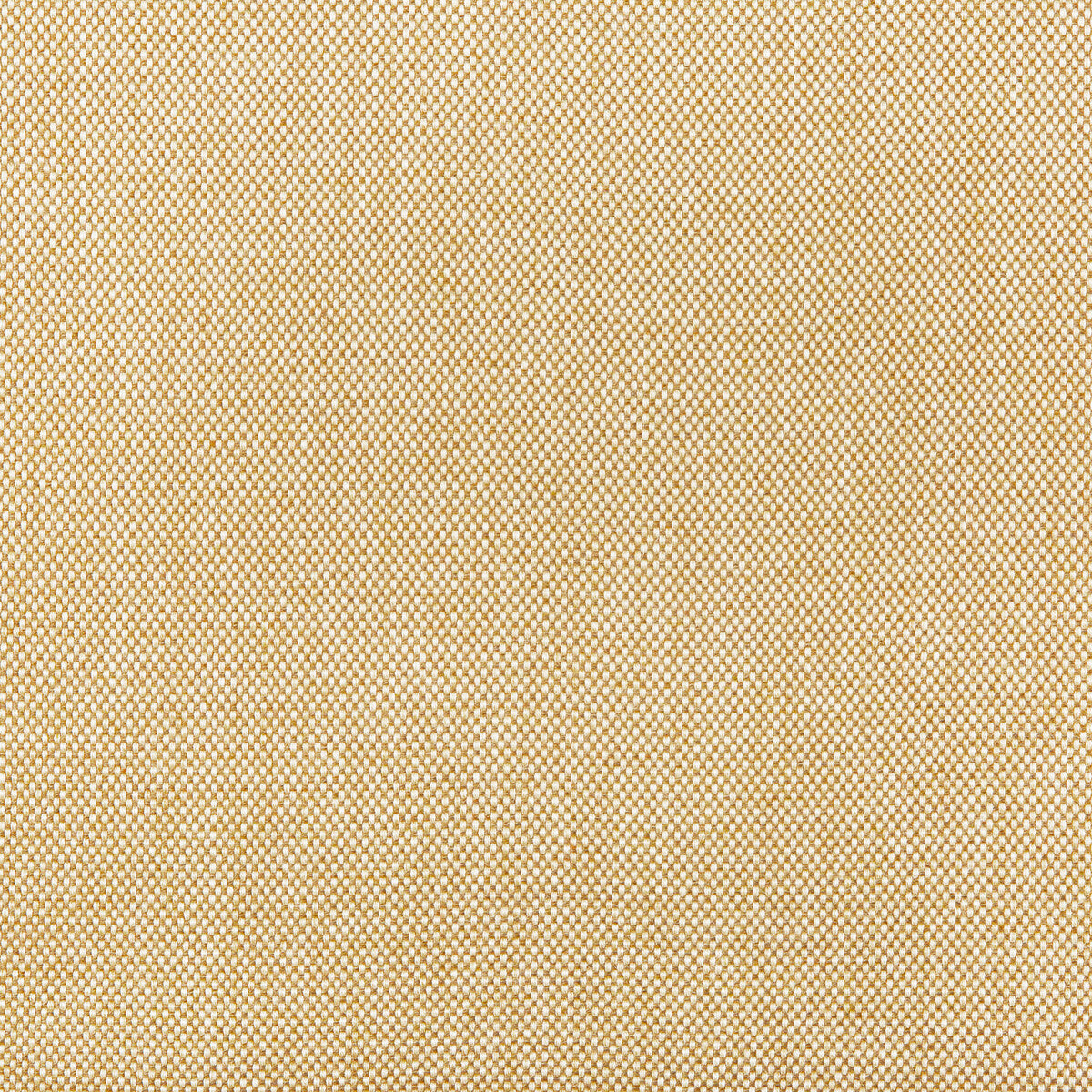 Kravet Basics-36829-16