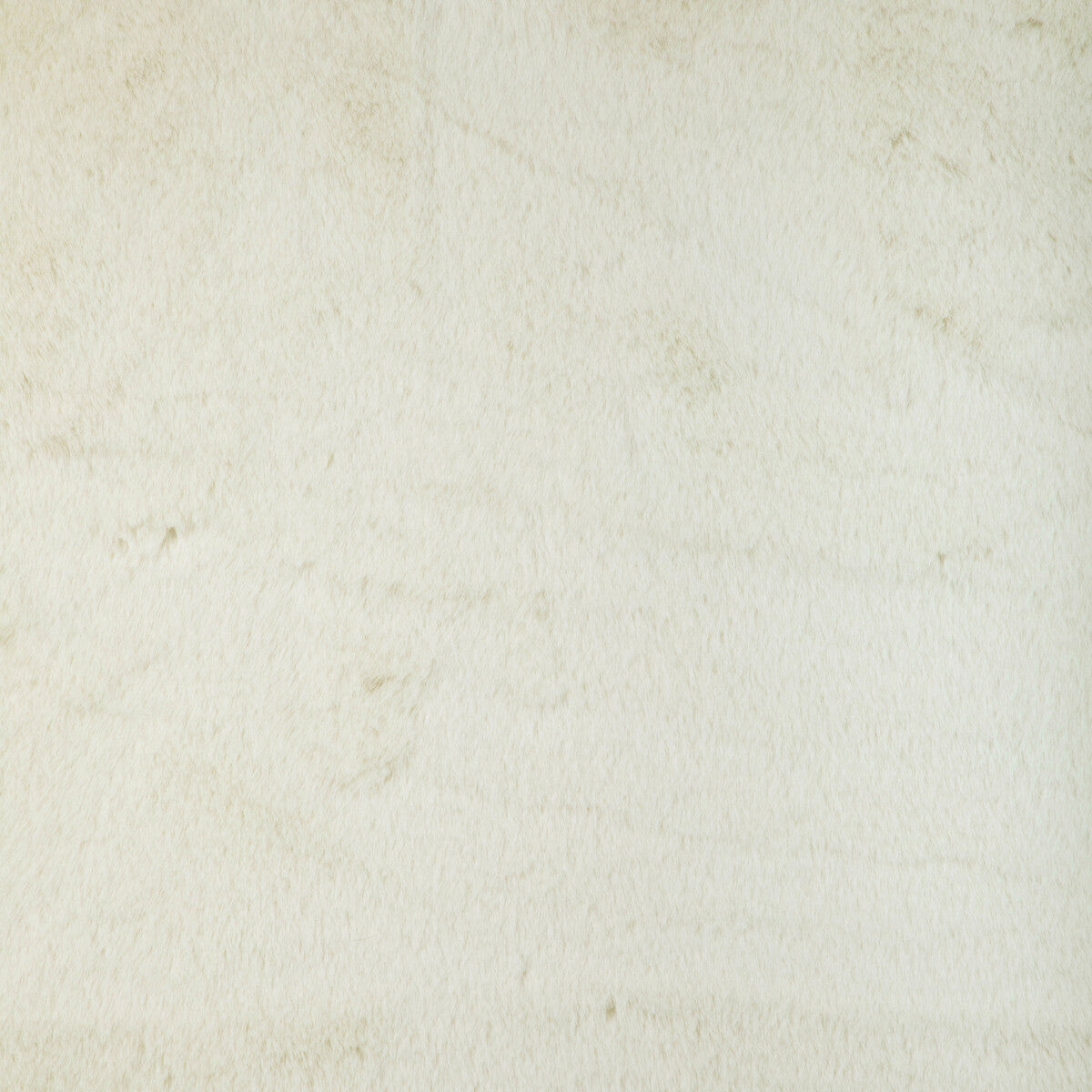 Kravet Basics-36896-1