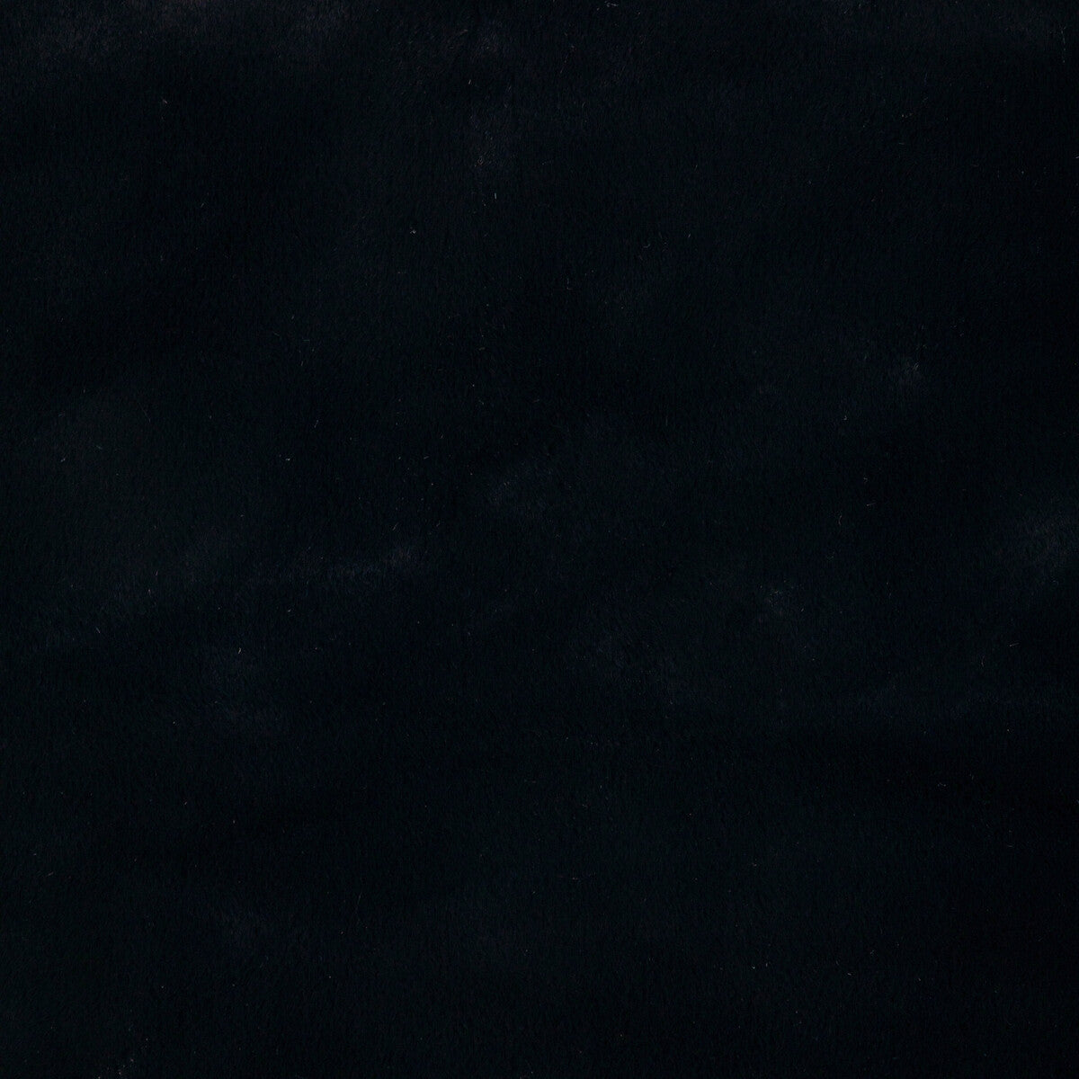 Kravet Basics-36896-8