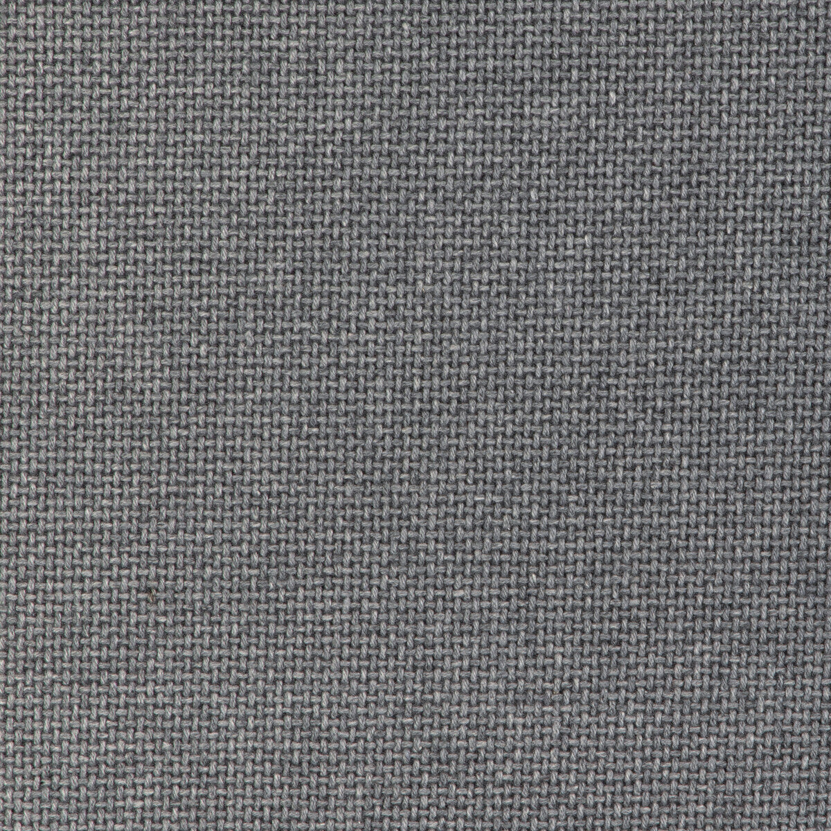 Easton Wool-Koala