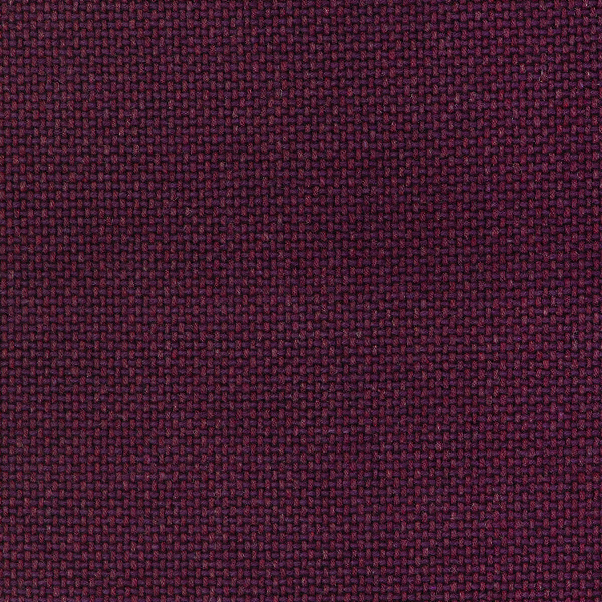 Easton Wool-Blackberry