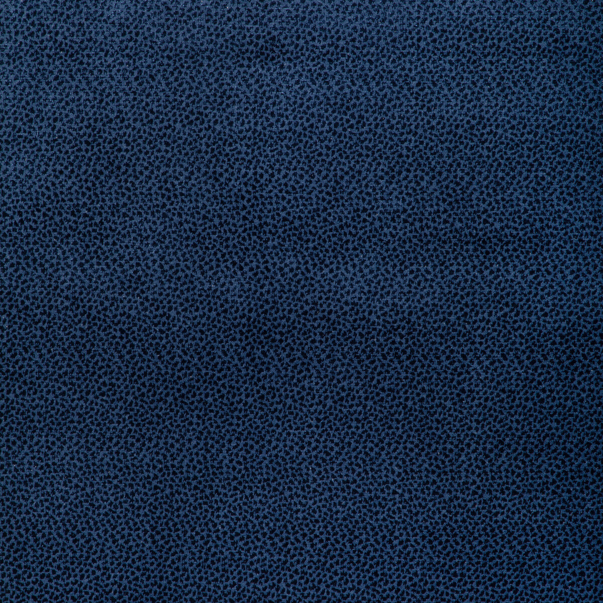 Kravet Design-37129-50
