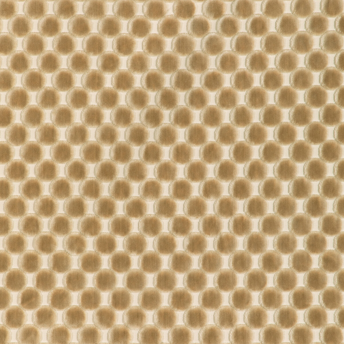 Kravet Design-37165-1116